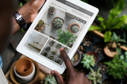 Comment un assistant IA peut transformer votre expérience jardinage ?